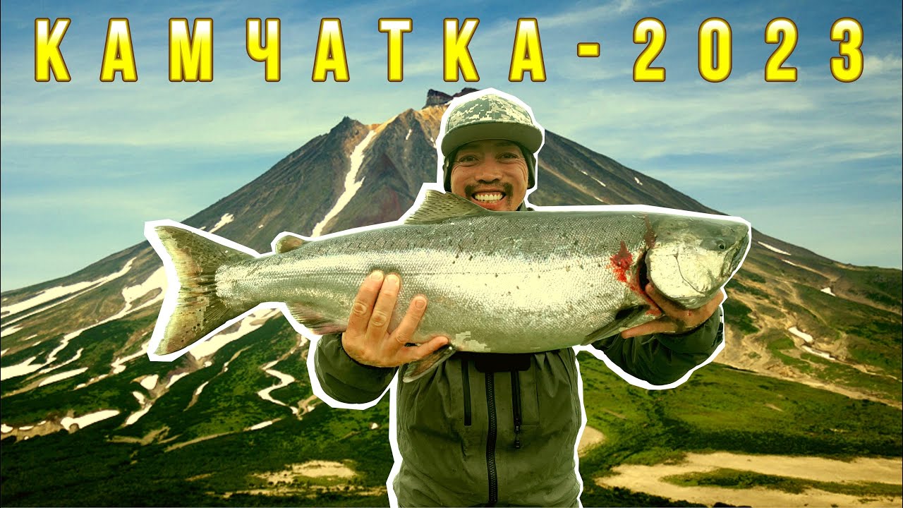 Чавыча, Камчатка 2023