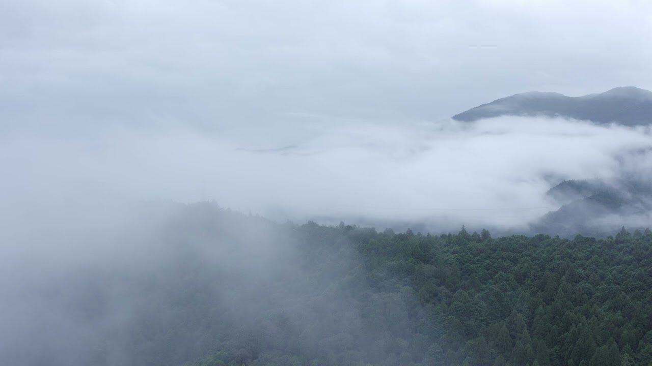 朝靄ループ 01