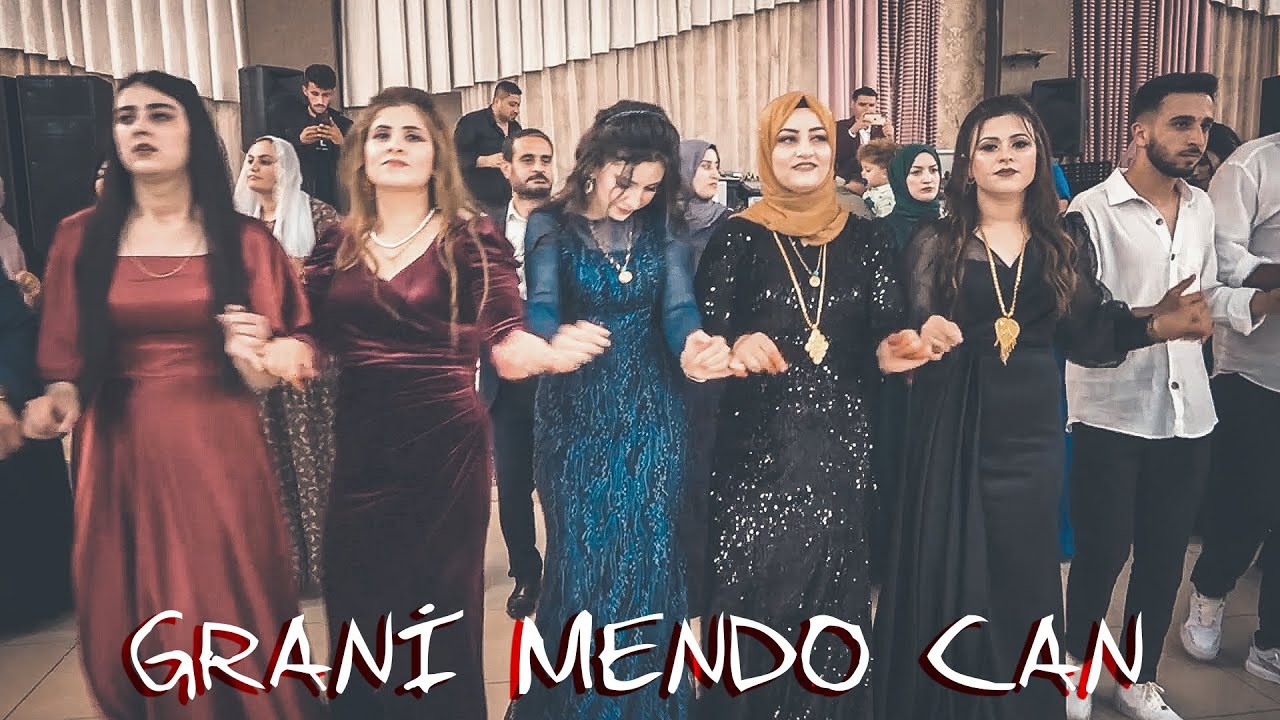 Musiki Aşireti (2023) | Grup Berfin | Mustafa Hoca  |   Mendo Can  Çalıyor Grani