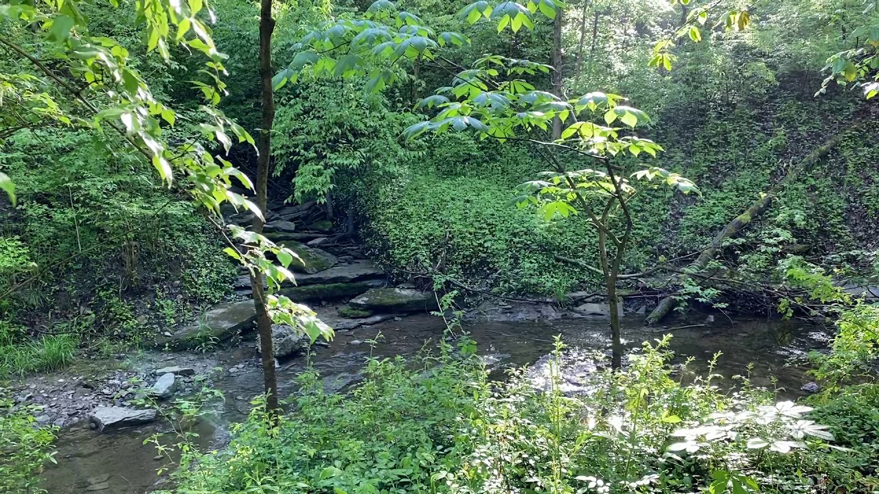 Meditative Moment - Guided Meditation to Nurture Your Inner Spark