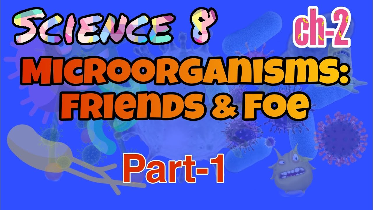 #1 Class 8 Science chapter 2, Microorganisms: Friends & Foe