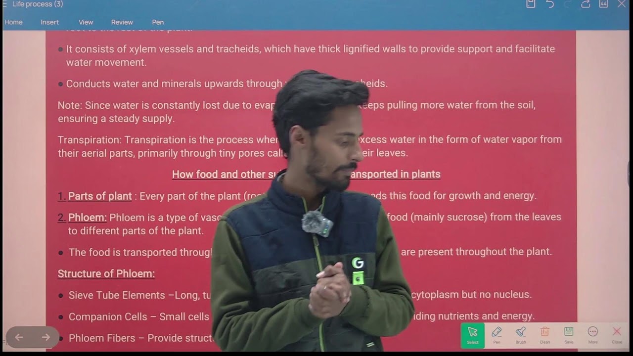 CH - 10 |LIFE  PROCESS | CBSE