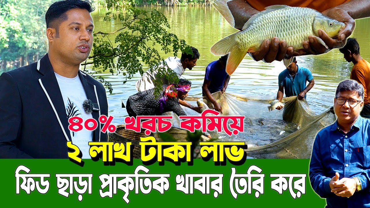 মিশ্র মাছ! কম খরচে, ফিড ছাড়া প্রাকৃতিক খাবারে মাছ চাষ!২ লা*খ টা*কা লা*ভ!