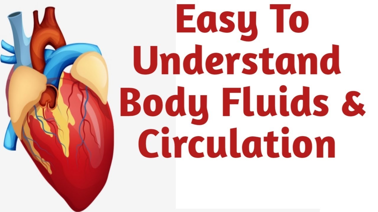 diagram of circulatory system | Important Diagram for CBSE Class 12 Board | NEET 2020