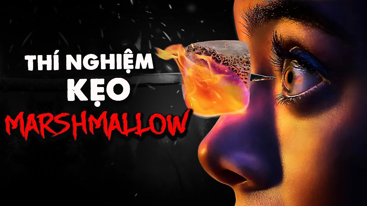 TH&Iacute; NGHIỆM ĐEN TỐI: KẸO MARSHMALLOW - PHẨM CHẤT CỦA TH&Agrave;NH C&Ocirc;NG (Phim T&agrave;i Liệu - Giải Th&iacute;ch)