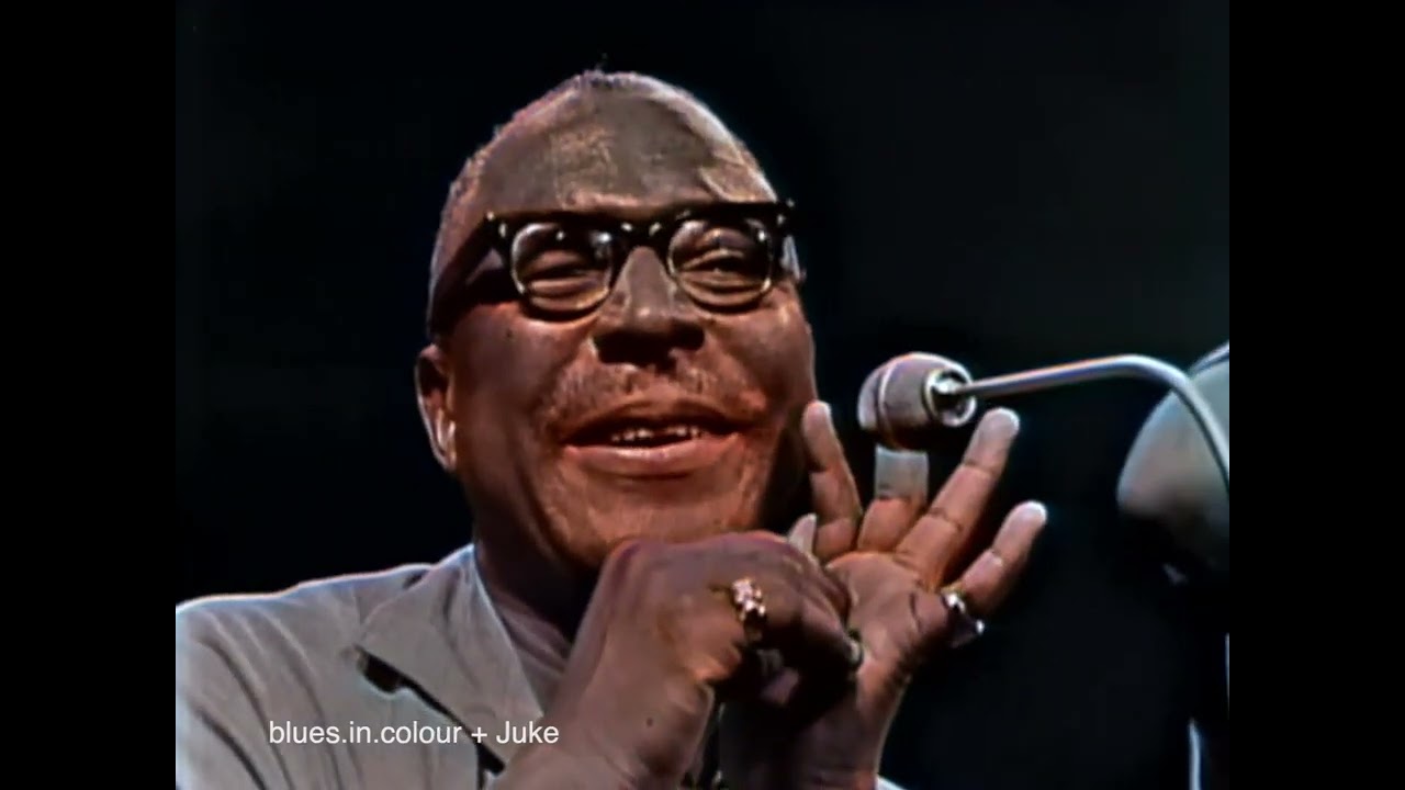Sonny Terry & Brownie McGhee - Hooray, Hooray, These Woman is Killin` Me live [Colourised] 1966