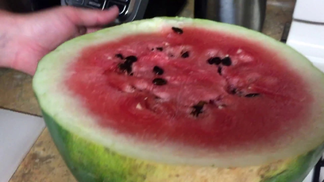 Black Diamond Watermelon Taste Test