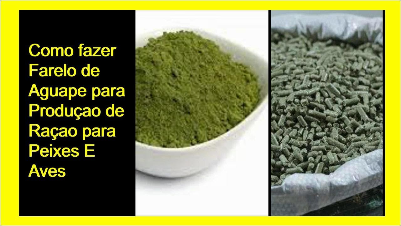 Como fazer Farelo de plantas Aquaticas Aguape,Taioba,Alface Dagua etc para produzir Raçao.