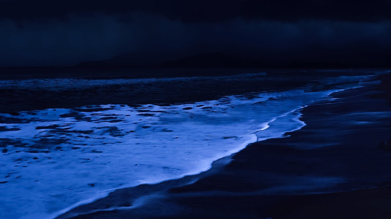 Perfect Relaxation by Listening to Waves from Ocean Sounds 🌊 Relaxing Therapy For Easy Sleep