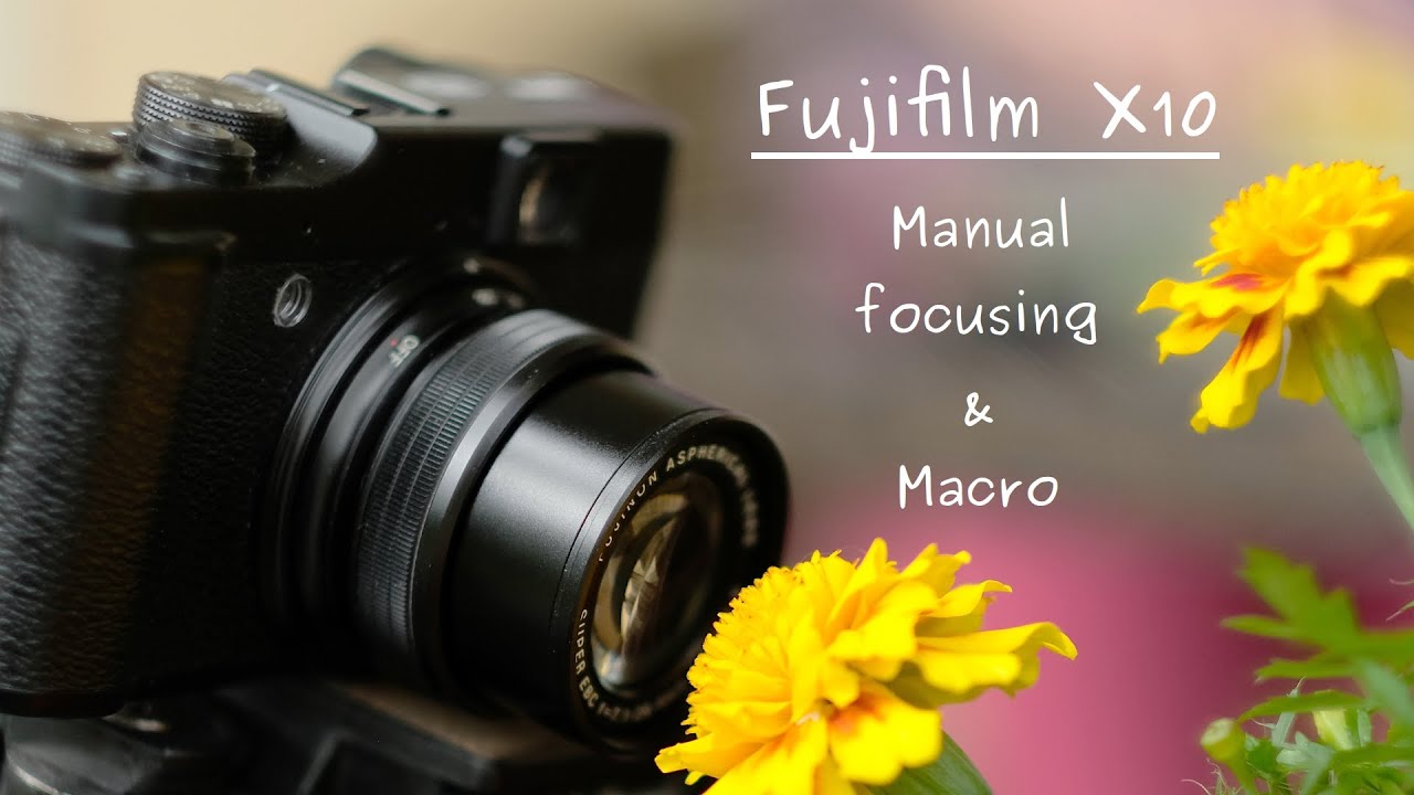 Fuji X10 — отличный вариант для МАКРО и РУЧНОЙ фокусировки!