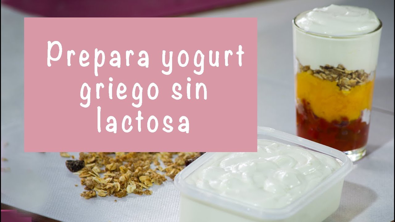 PREPARA YOGURT GRIEGO SIN LACTOSA