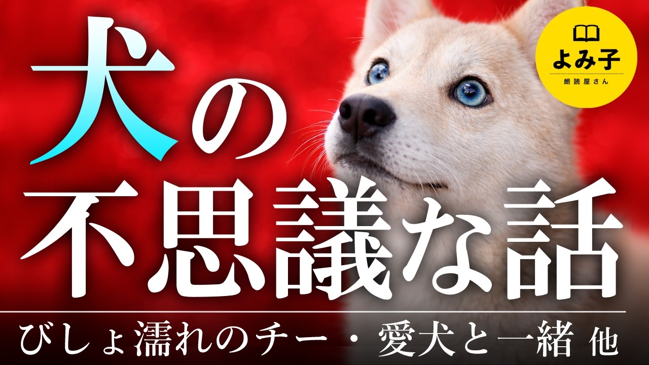 【朗読】犬にまつわる不思議な話詰め合わせ【女性朗読/睡眠/2ch】