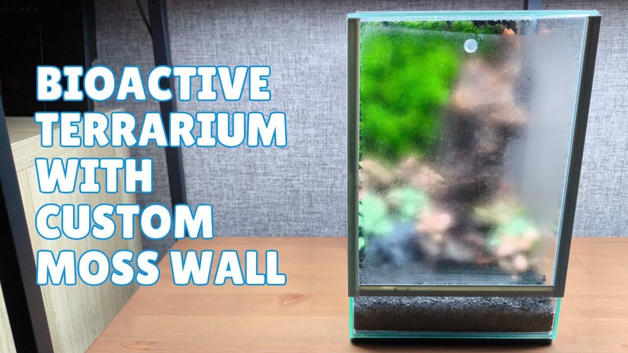 We’ve Built Moss Wall Terrariums Before… This One Was Different