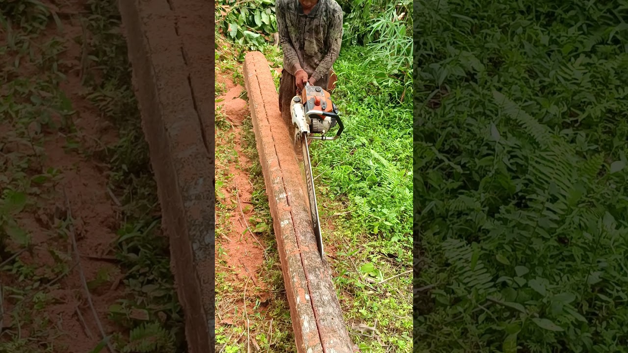 hard and alot of old coconut wood