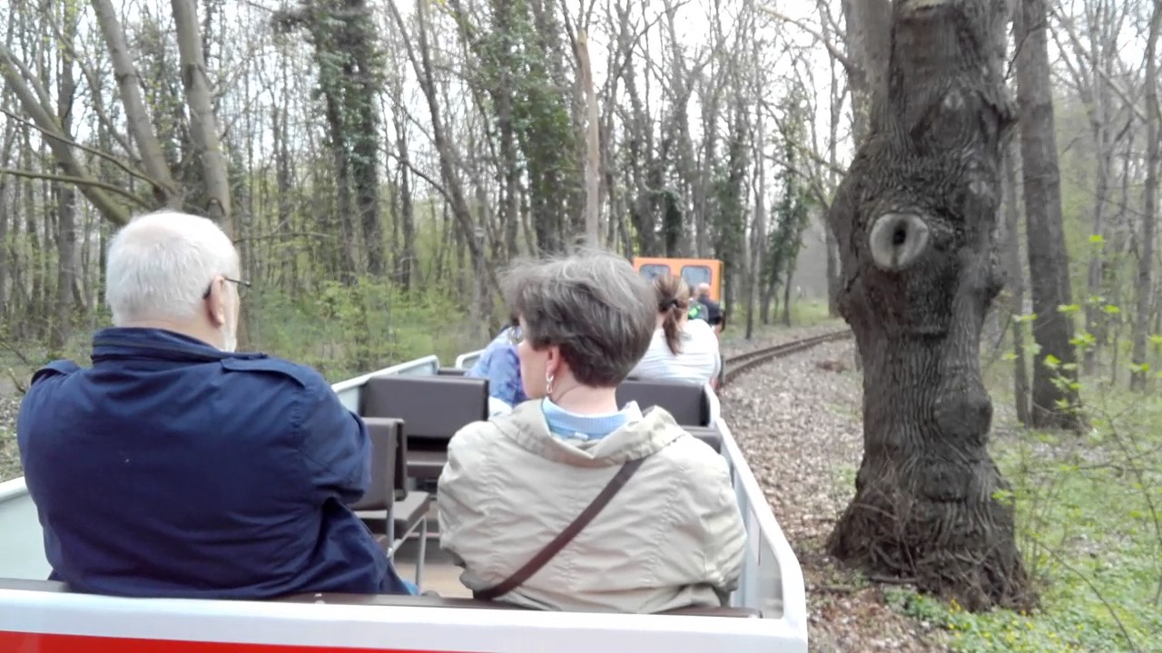 Fahrt über den Rundkurs der Parkeisenbahn Halle/Saale