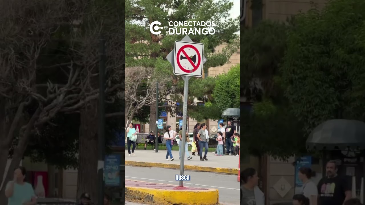 ASIENTO ROSA EN EL TRANSPORTE P&Uacute;BLICO EN DURANGO