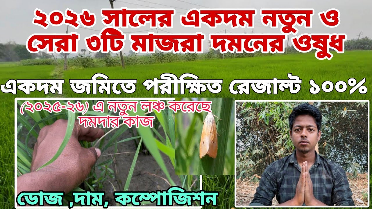 বোরো ধানের মাজরা দমনে ২০২৬ সালের নতুন সেরা কীটনাশক 🔥 ১০০% মাজরা দমনে পরীক্ষিত রেজাল্ট