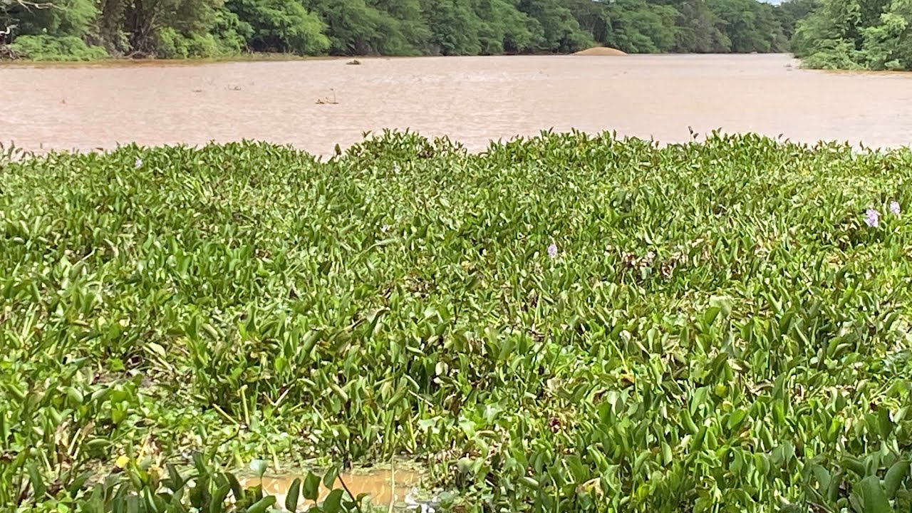 A BARRAGEM ENCHEU RAPIDAMENTE 