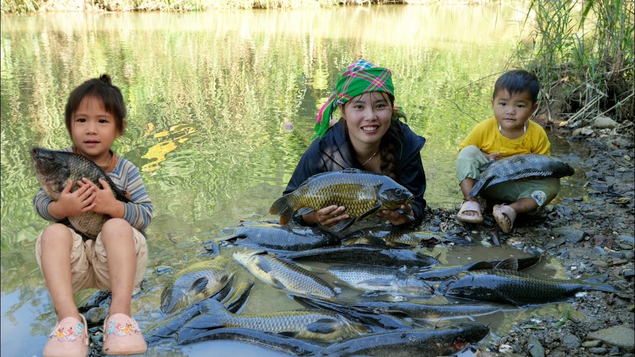 Catching fish, trapping fish, blocking water to catch fish - cooking with my little daughter