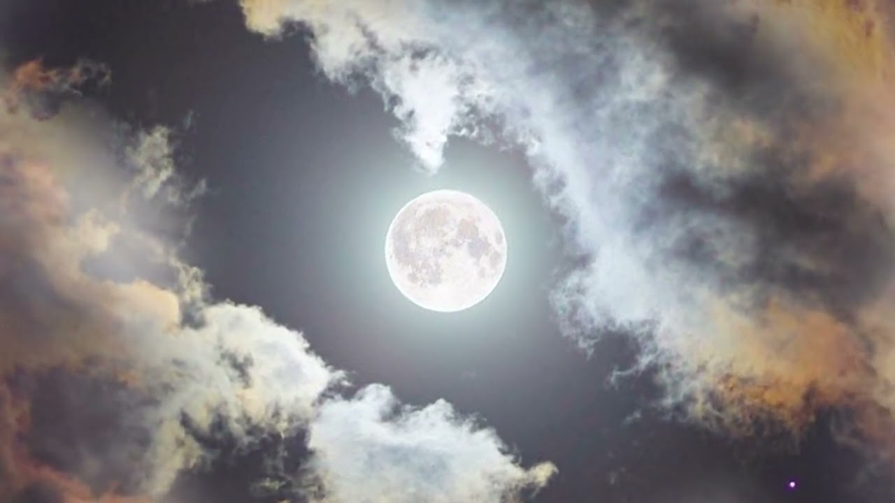 The First Human on the Moon