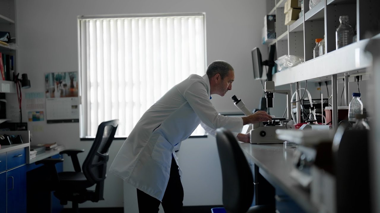 Unleashing Genomic Research with Optical Genome Mapping