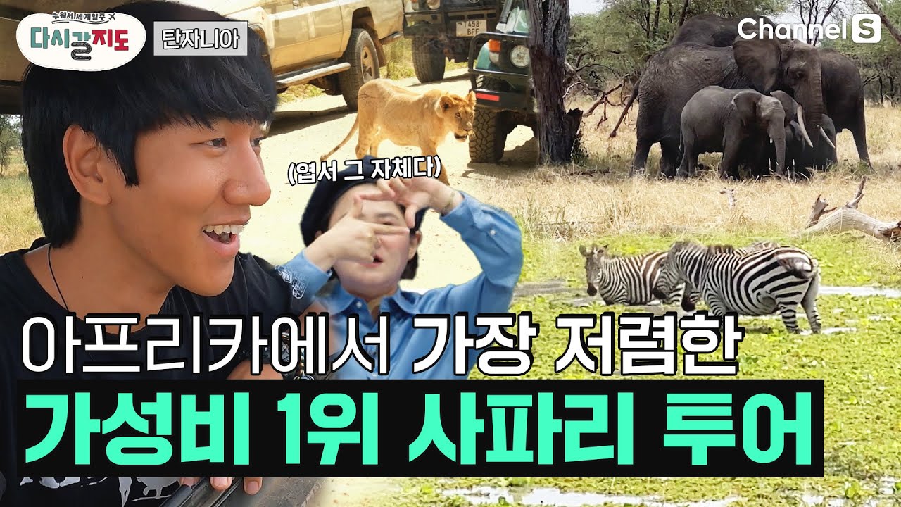 가성비 넘치는 아프리카의 사파리 투어를 원한다? 그럼 무조건  탄자니아(Tanzania) 타랑기레 국립공원으로 고고! ㅣ74회ㅣ#다시갈지도 #상가의안녕히살아보기