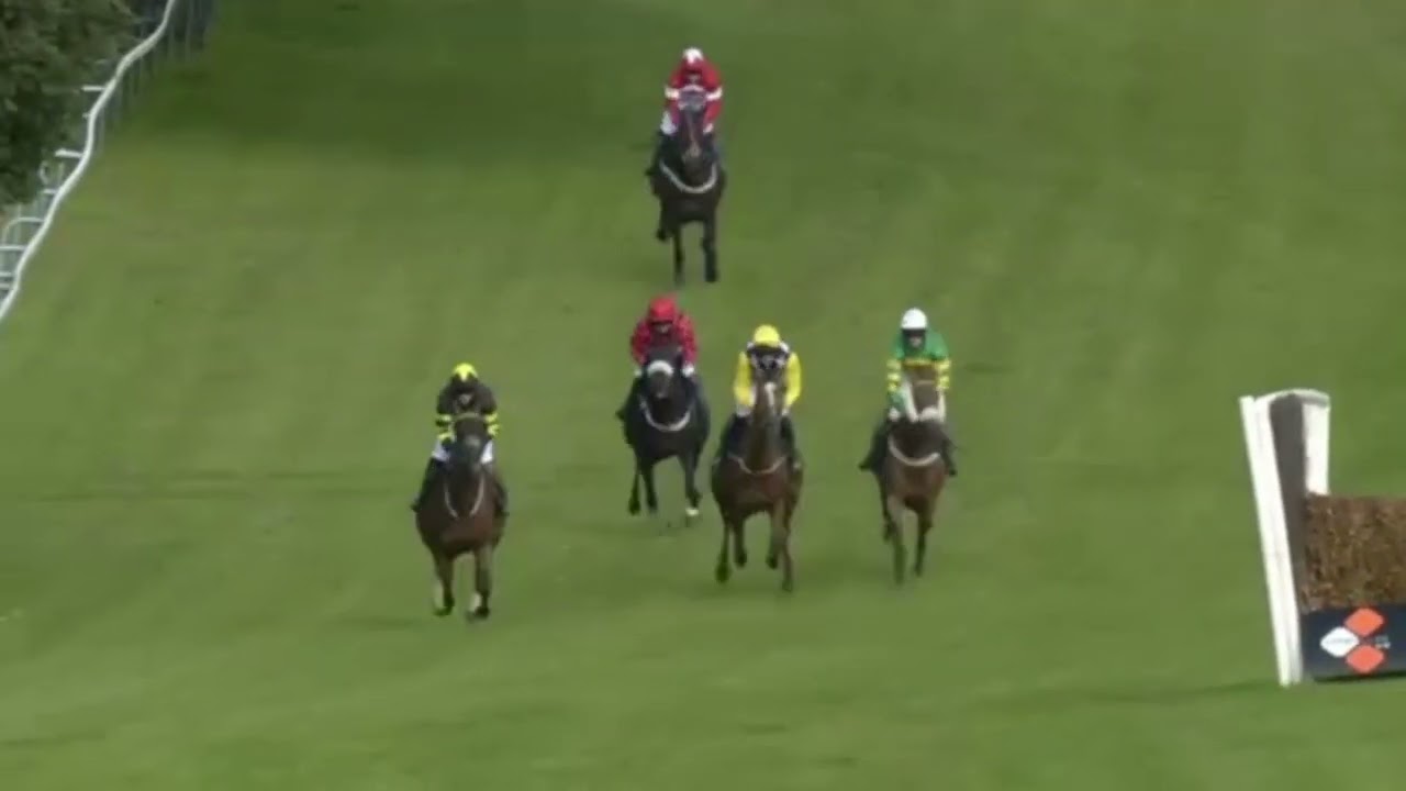 Horse Racing Death 15 - Paris Texas at Sedgefield Racecourse