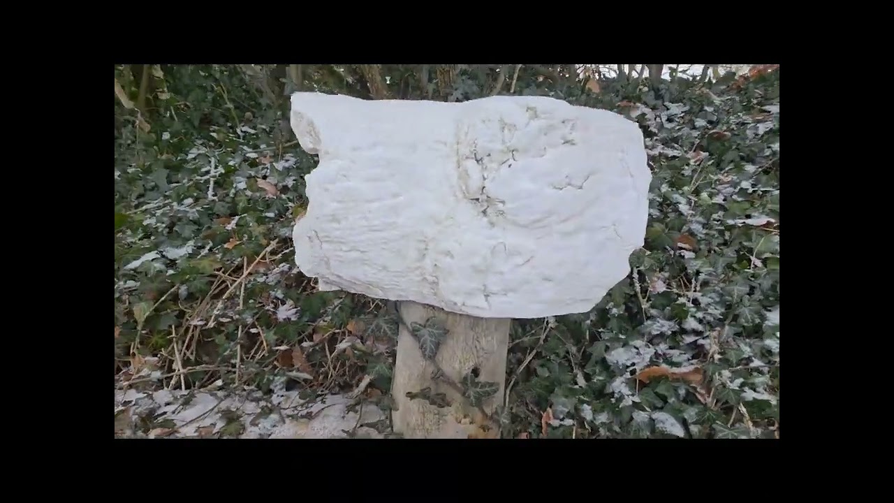 Winterwandeling Oosterbeek met wandelgroep. 10 januari 2026