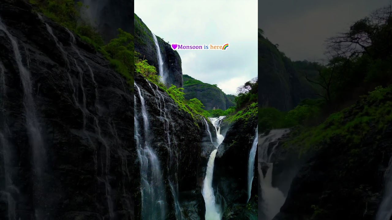 Majestic Devkund Waterfall 2023: Nature's Hidden Gem #shorts #devkund #monsoon #taminighat