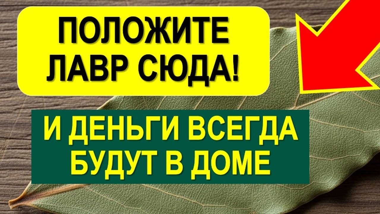 Куда положить лавровый лист, чтобы в доме появились деньги? Главное правило достатка от стариков