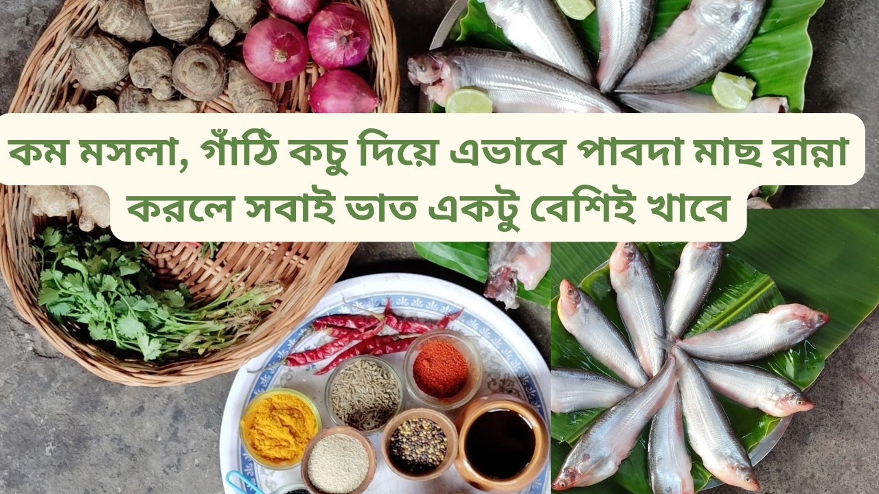 গাঁঠি কচু দিয়ে এভাবে পাবদা মাছ রান্না করলে সবাই ভাত একটু বেশিই খাবে