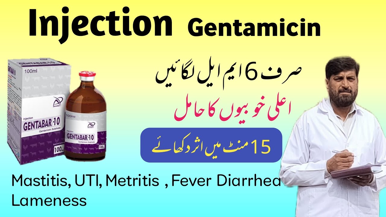Injection جینٹا مائی سین | Gentamicin Use In Mastitis Metritis Pneumonia Diarrhea | Gentafar