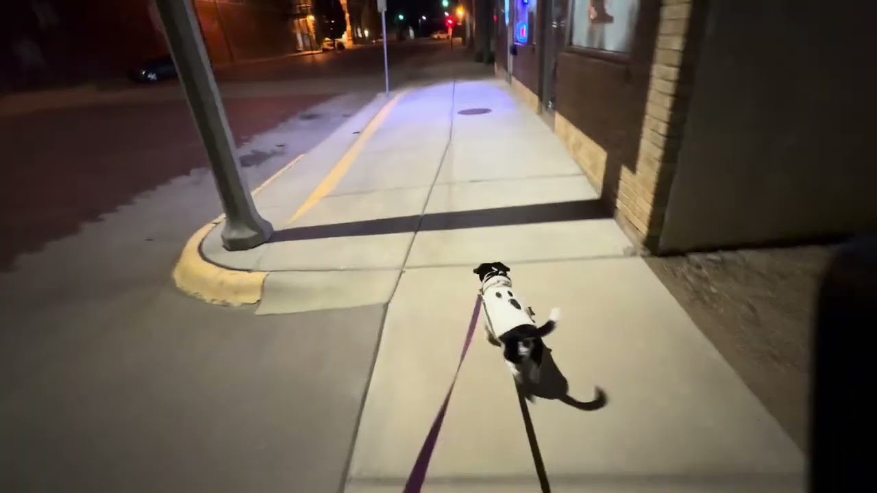 Night walk November 4th 2025