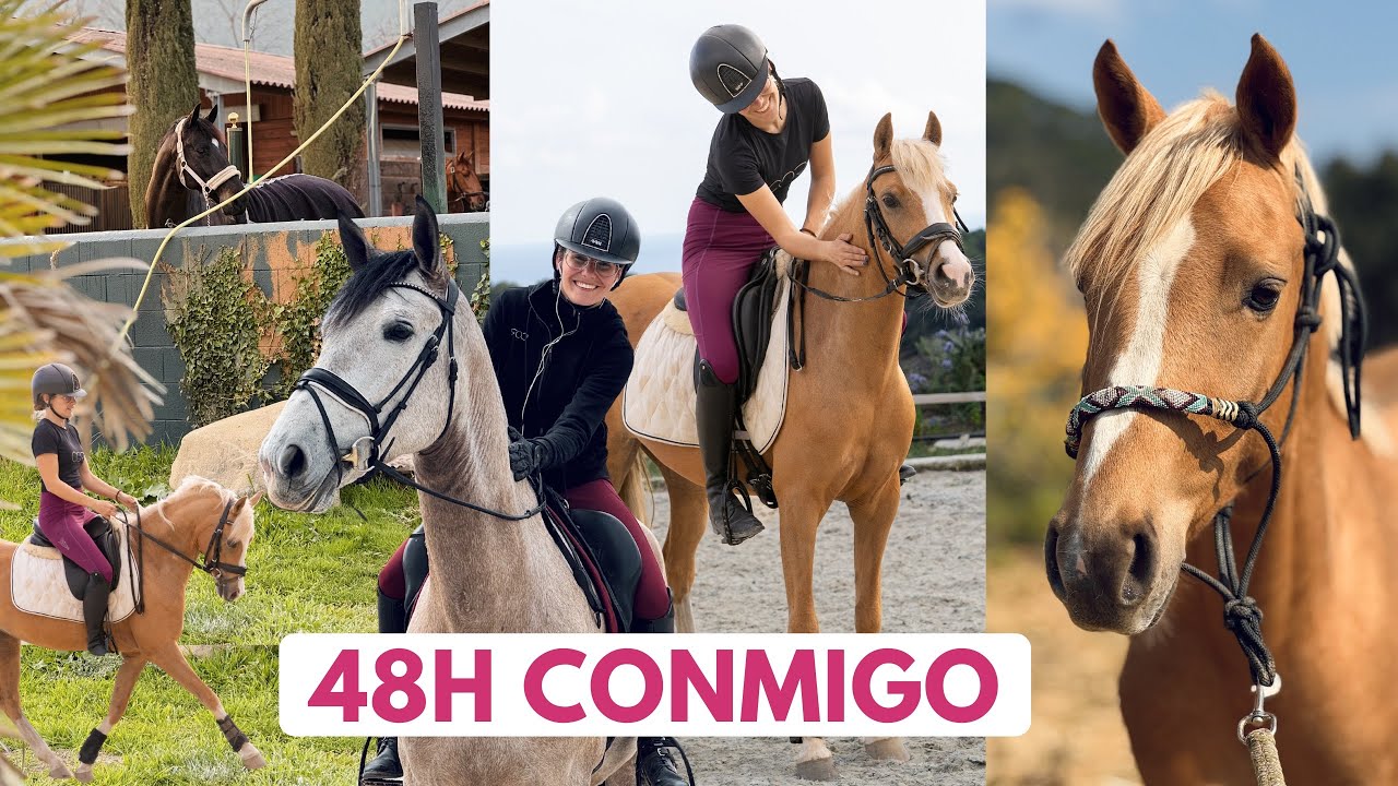 48H CONMIGO 🐎✨ ¡Me subo a Findy por primera vez, desbravamos ponis y me enamoro de un español!