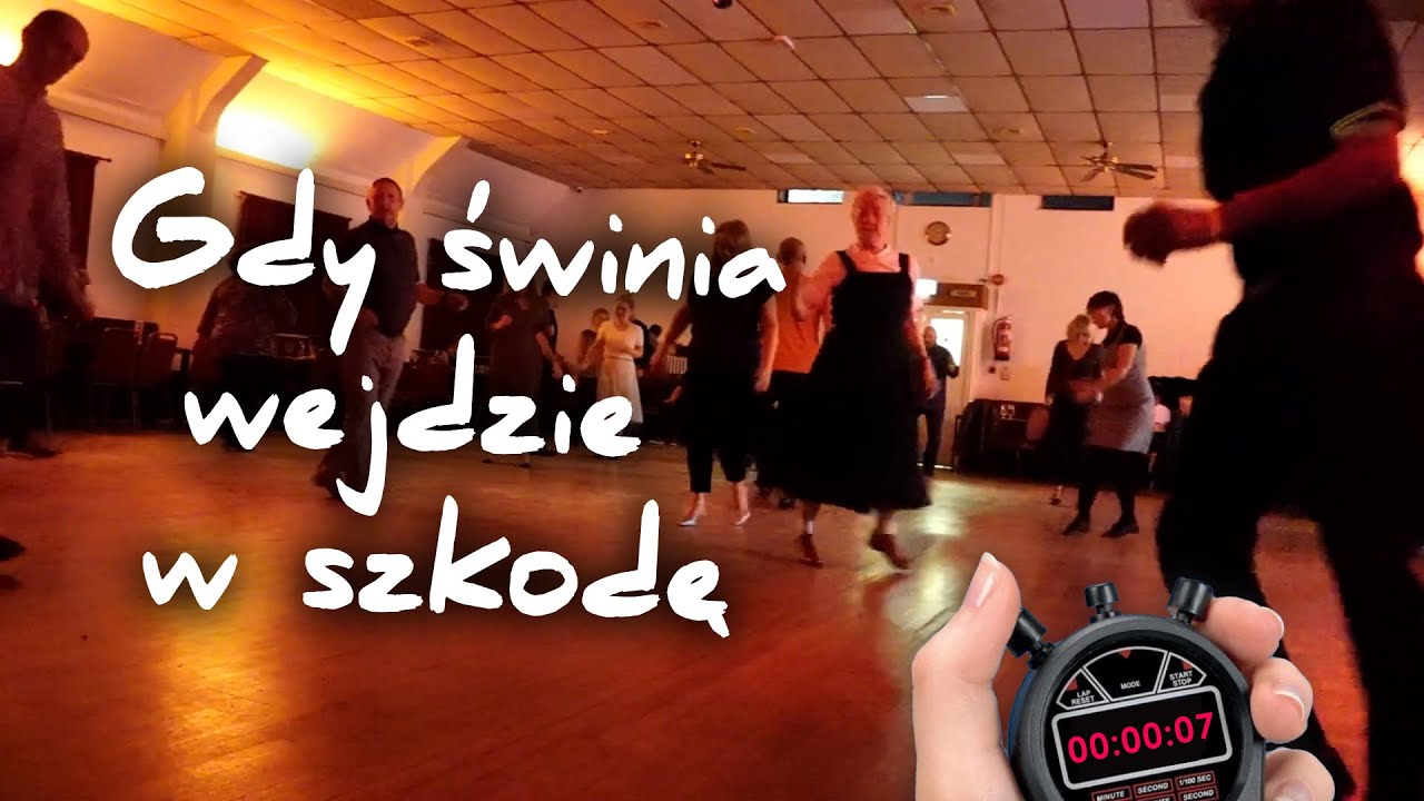 Gdy świnia wejdzie w szkodę (Produkcja⁚7sekund) (Słowa⁚@Marta Winiewicz)