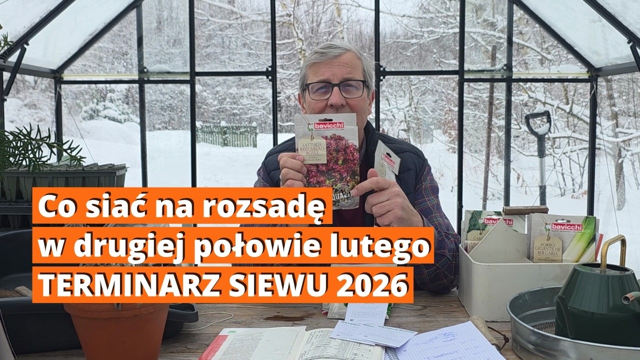 Co siać w drugiej połowie LUTEGO! 🌱 Terminarz siewu warzyw i kwiatów na 2026 rok.