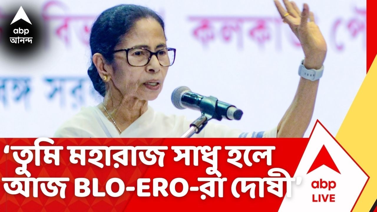 Mamata Banerjee: ‘তুমি মহারাজ সাধু হলে আজ BLO-ERO-রা দোষী’, ধর্না মঞ্চ থেকে কটাক্ষ মমতার | ABP