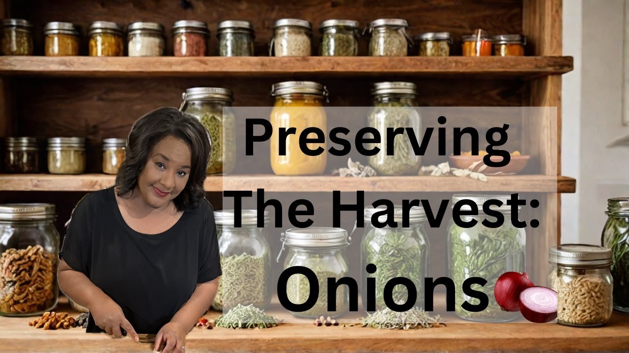 The EASIEST Way to Preserve Homemade Seasonings Forever