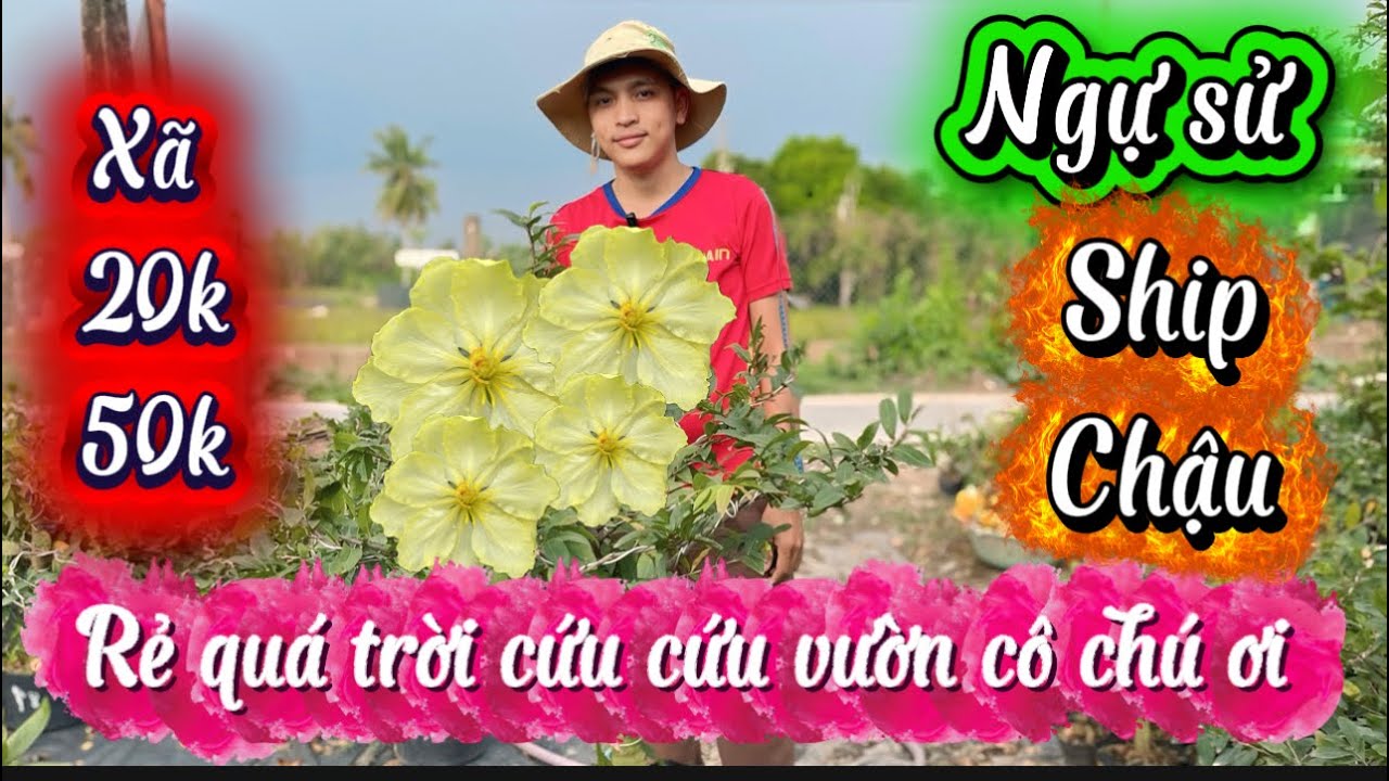 21-1-2026☎️0352356777📲mai chơi Tết xã rẻ cực kỳ sốc 20k mã số cuối clíp 
