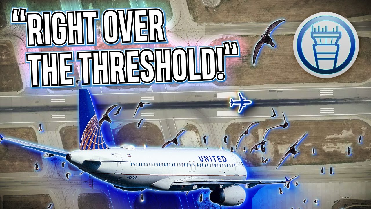 “We Took Some Out!” – United Jet Hits Flock Birds at Santa Barbara [ATC Audio]