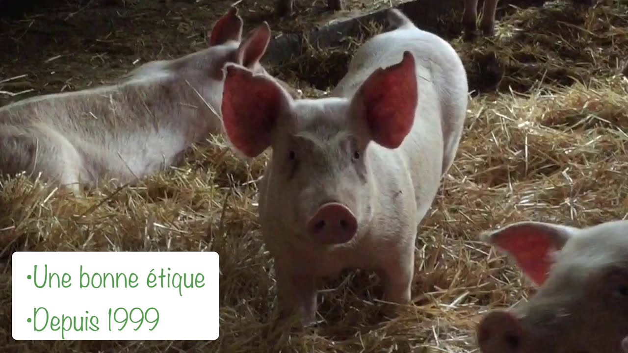Mini reportage / La ferme de Vernas