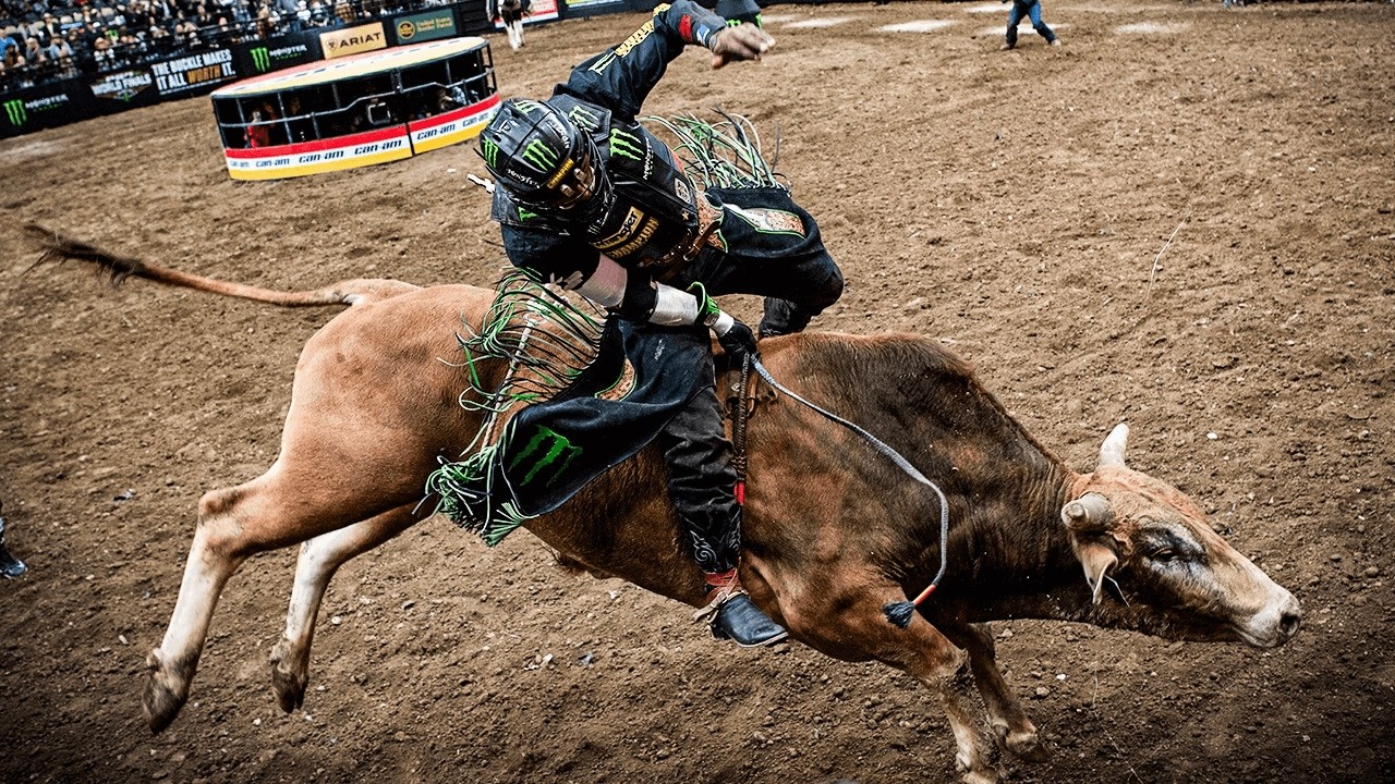 90 Point Madness! Top PBR Rides of February 2026