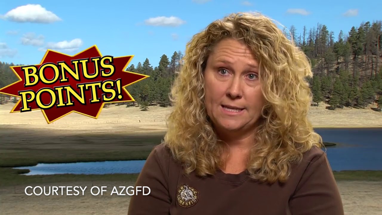 The Arizona Big Game Draw EXPLAINED!