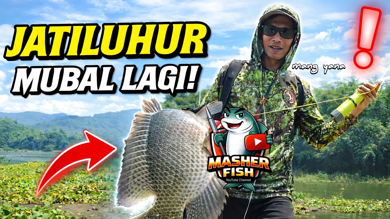 PASER IKAN ] JATILUHUR MUBAL LAGI, IKAN MONSTER PADA KELUAR !!!