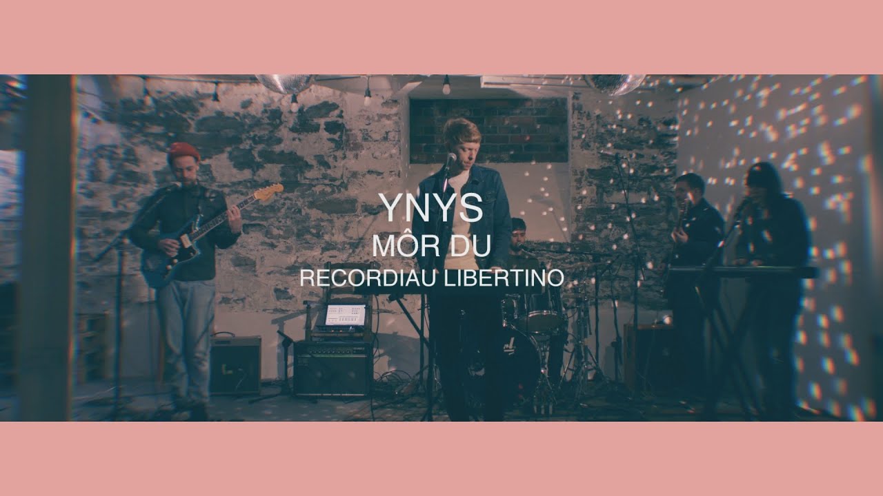 Ynys - Môr Du - Curadur