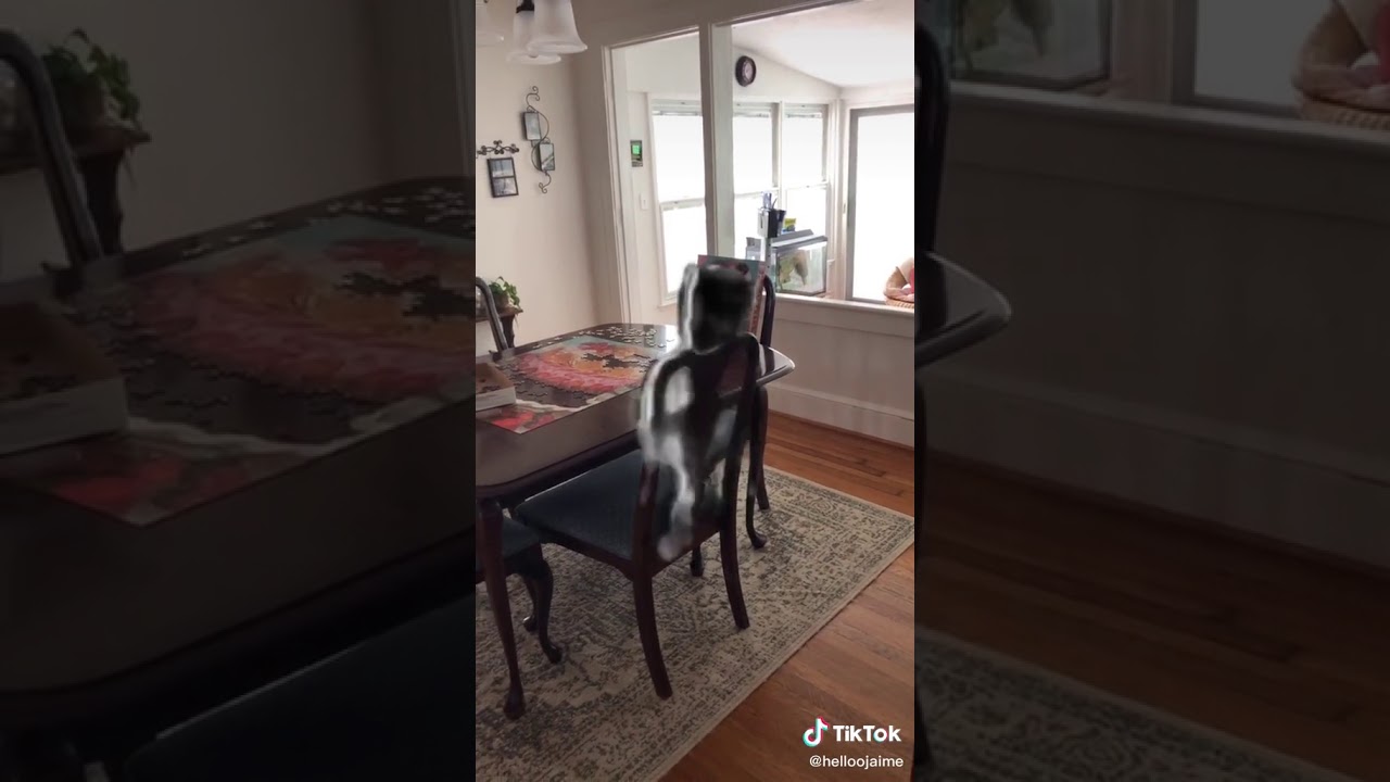 Using the Reality Ripple Effect filter where my dad passed away tiktok