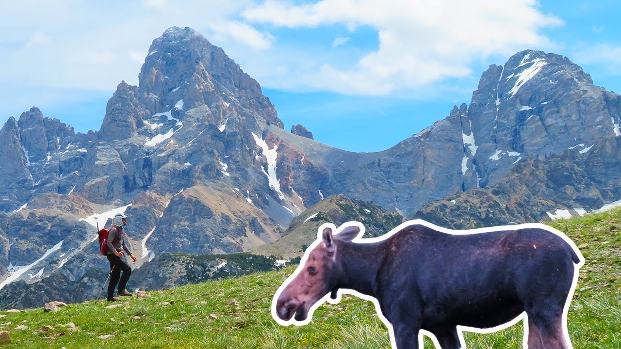 Moose, Mountains & More! A Week of Adventures in Wild Places (Vanlife/SUV Camping)