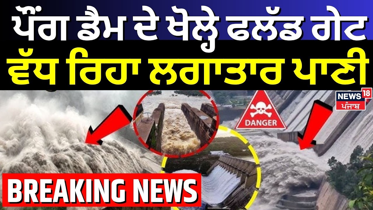 LIVE | Pong Dam Flood Gate Open | ਪੌਂਗ ਡੈਮ ਦੇ ਖੋਲੇ ਫਲੱਡ ਗੇਟ, ਵੱਧ ਰਿਹਾ ਲਗਾਤਾਰ ਪਾਣੀ | Beas