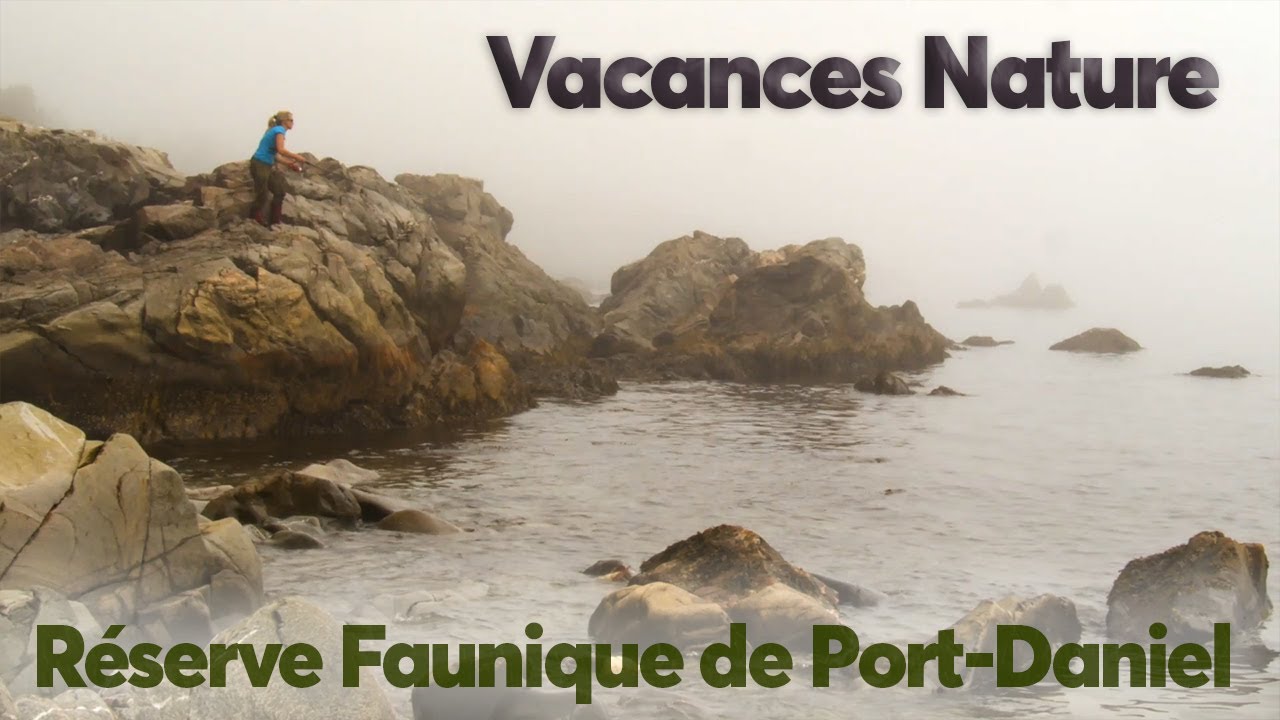 Pêche & Rando à la Réserve Faunique de Port-Daniel en Gaspésie - Vacances Nature