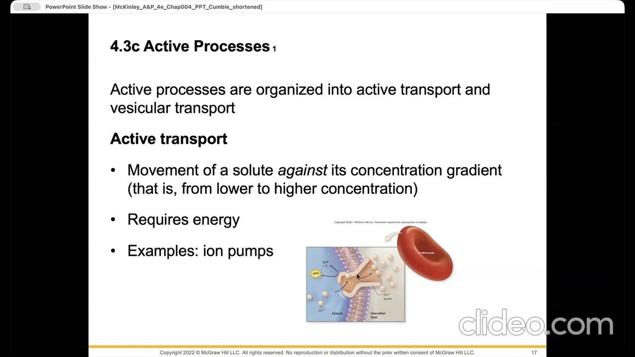 BIOL240- Chapter 4: Biology of the Cell
